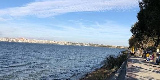 Avcılar'da Piknik